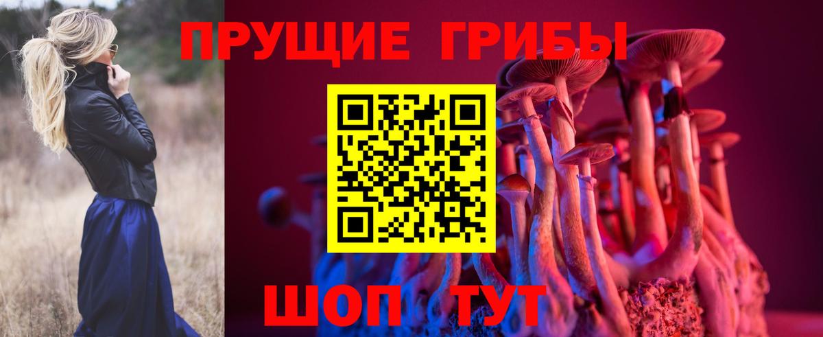 Батайск  Псилоцибиновые грибы MAGIC MUSHROOMS  Галлюциногенные грибы Magic Shrooms  Вход с VPN 